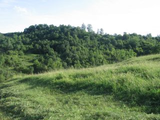 La coasă