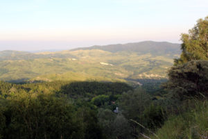 1300D_2017_07_07_0996