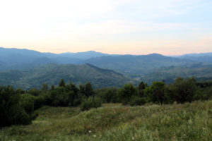 1300D_2017_07_07_1009