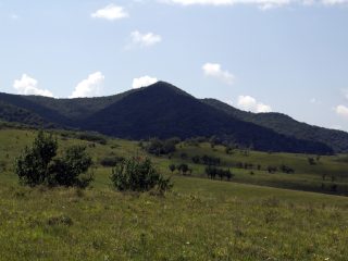 La Dâlmă (video)